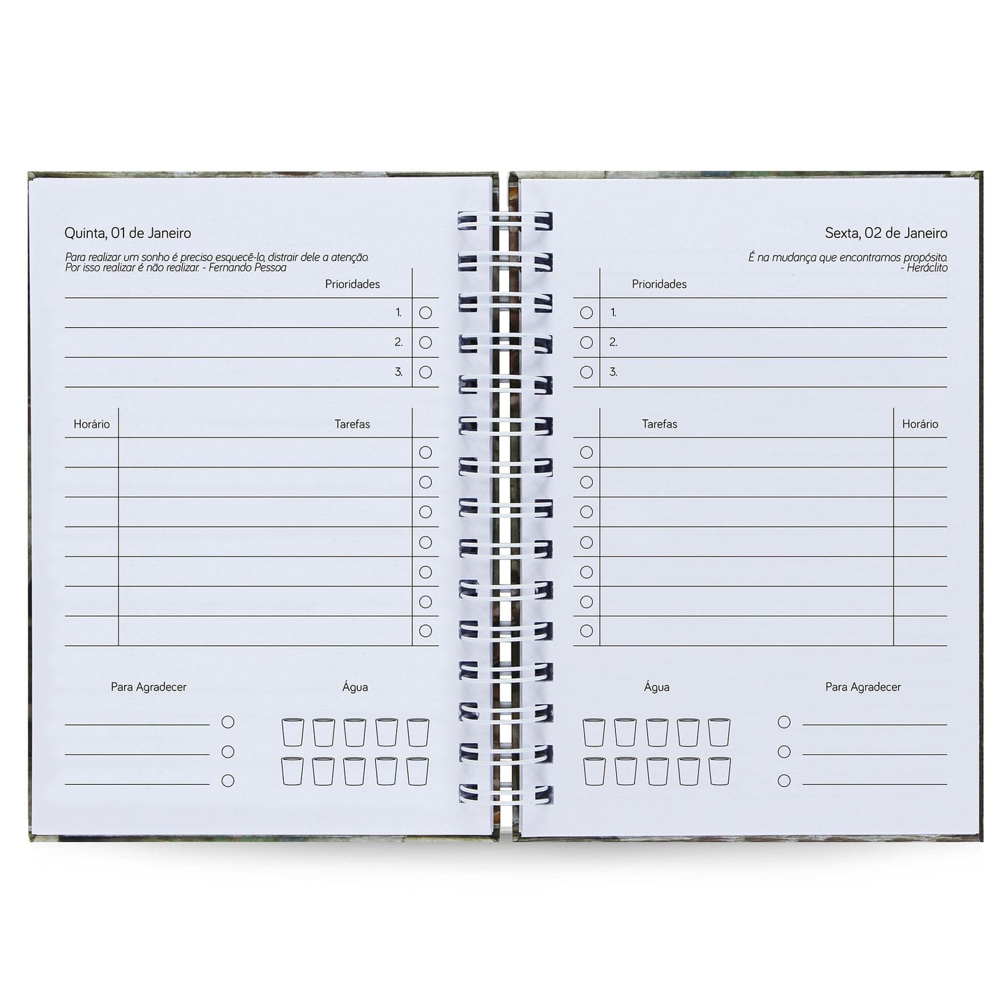 Agenda Diária Datada 2026 Nietzsche Privilégio 212 Fls 75g A5