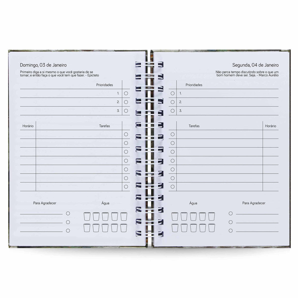 Agenda Diária Datada 2027 Use 212 Fls 75g A5