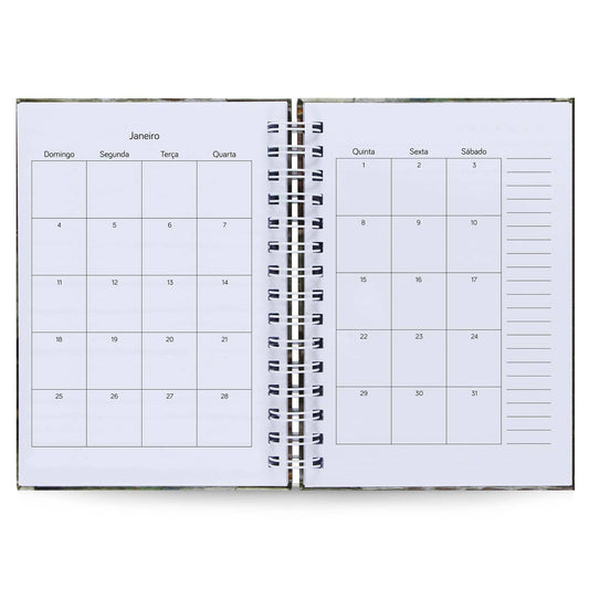 Agenda Semanal Vertical Datada 2026 Homem Vitruviano 120 Fls 90g A5