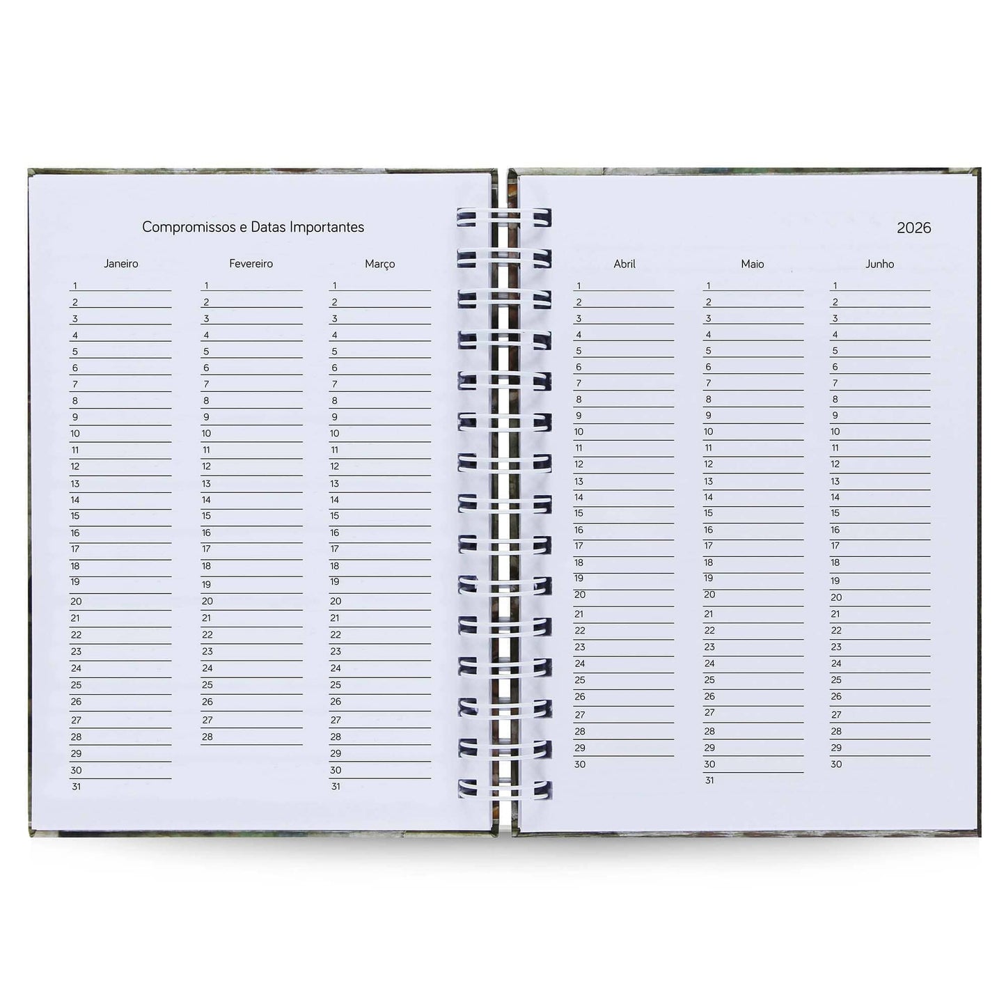 Agenda Diária Datada 2026 Lírios 212 Fls 75g A5