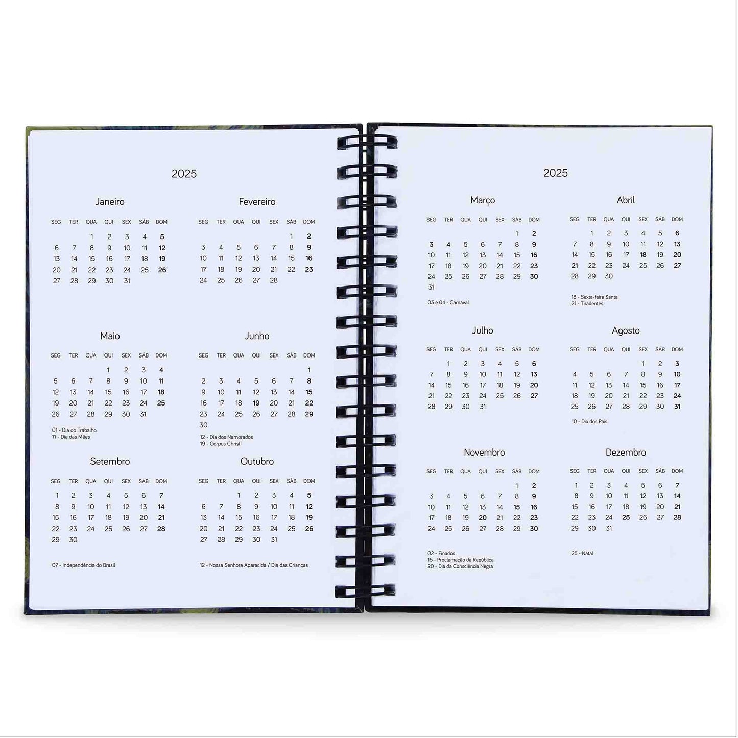 Agenda Diária Datada 2025 Use 212 Fls 75g A5