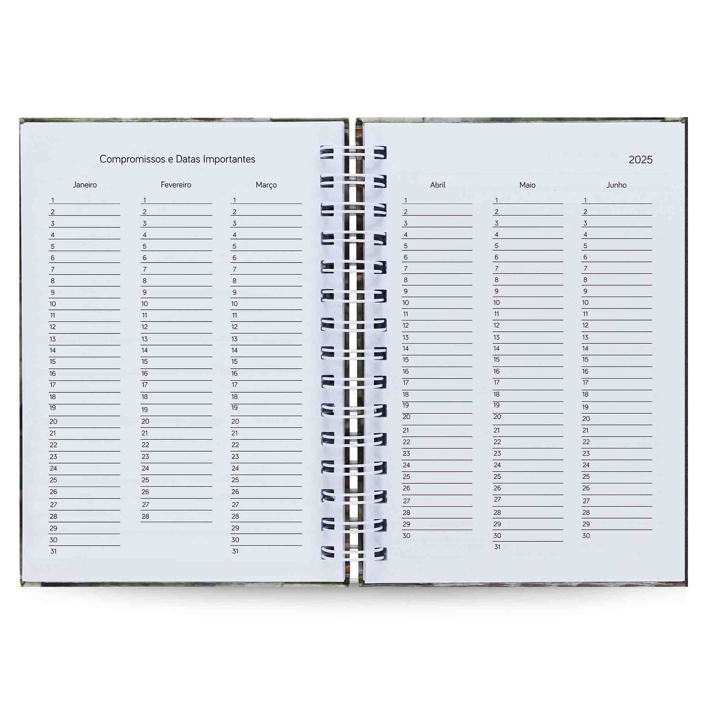 Agenda Diária Datada 2025 Mona Lisa 212 Fls 75g A5