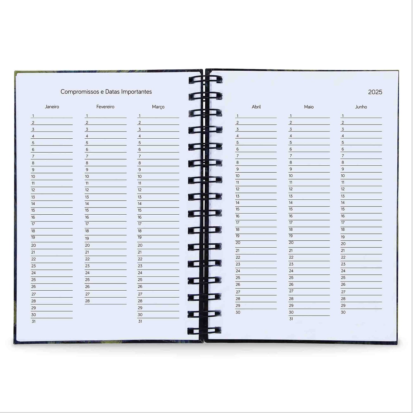 Agenda Diária Datada 2025 Memento Mori Caveira 212Fls 75g A5