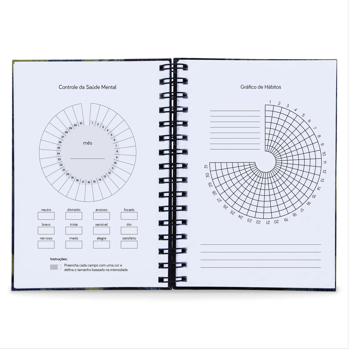 Agenda Semanal Datada 2025 Vale a Pena 120 Fls 90g A5