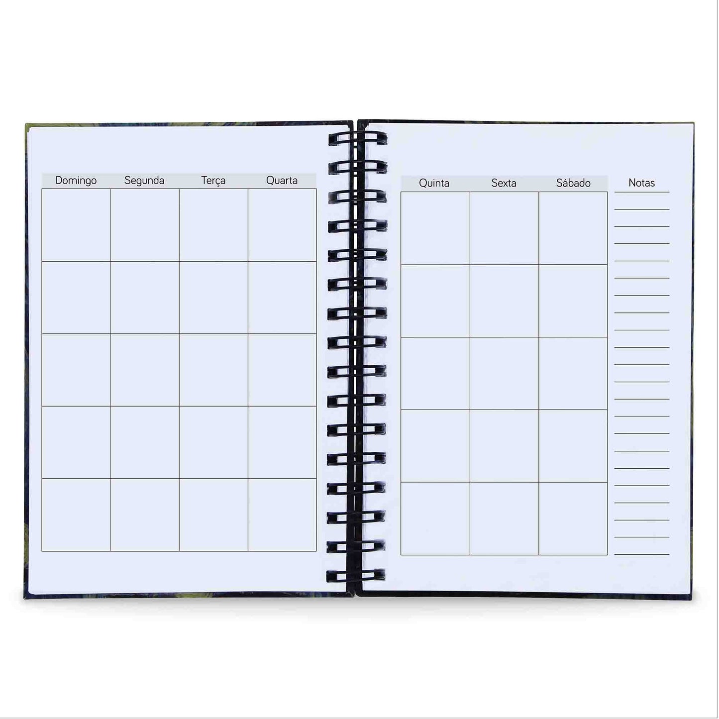 Agenda Semanal Datada 2025 Vale a Pena 120 Fls 90g A5