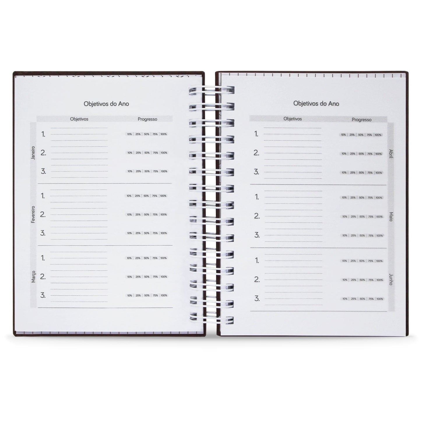 Planner Diário Premium Permanente James Webb Capa Dura 212 Folhas A5