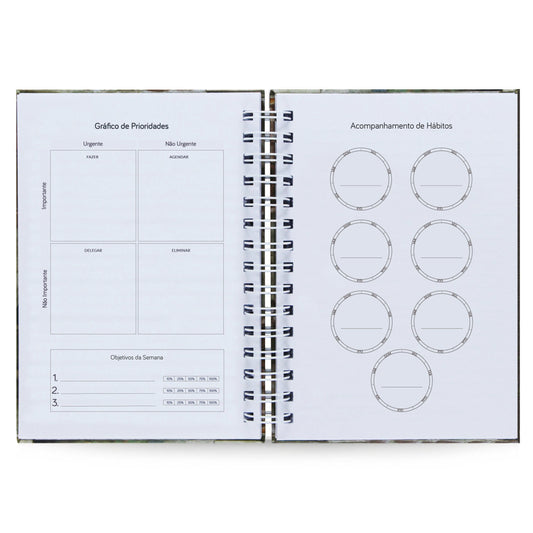 Planner Semanal "Escola de Atenas" Capa Dura, 156 Folhas, 52 Semanas, 21x15cm